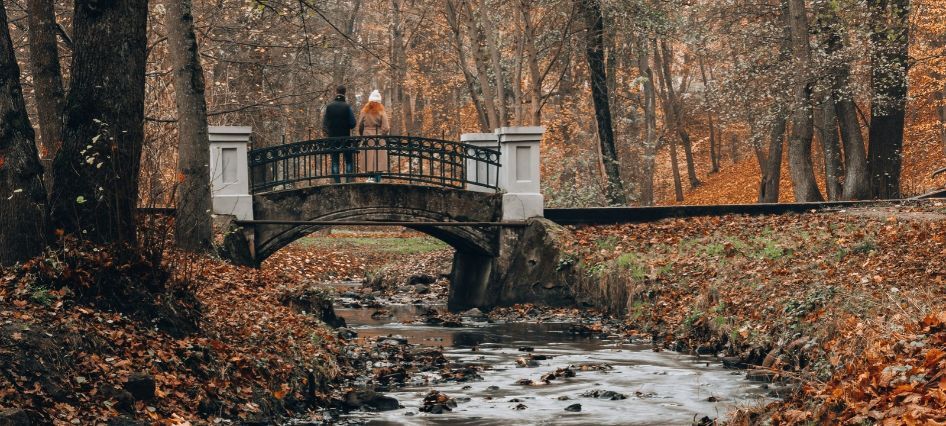 travel-in-autumn